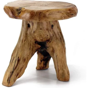 Natural Wood Stump Stool Live Edge Table