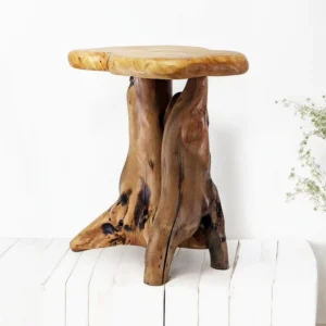 Natural Tree Stump Live Edge Side Table